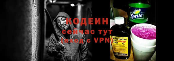 ECSTASY Алзамай